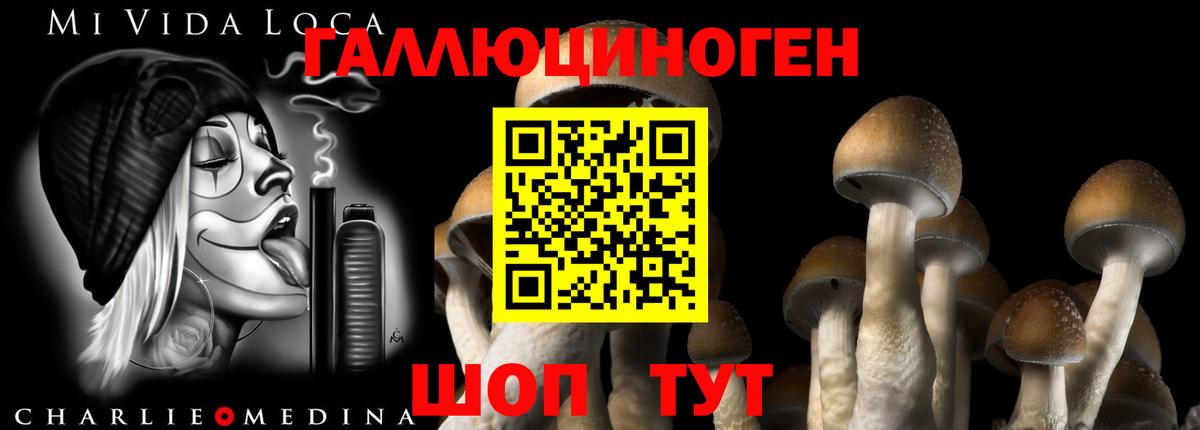 Псилоцибиновые грибы ЛСД  Вход с VPN  Реж  Галлюциногенные грибы Psilocybine cubensis 